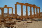 Palmýra - ruiny antického mìsta