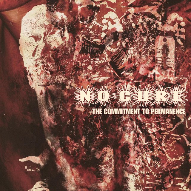 NO CURE - The Commitment To Permanence