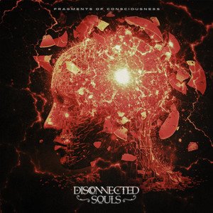 DISCONNECTED SOULS - Fragments of Consciousness