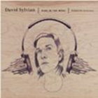 DAVID SYLVIAN - Died In The Wool: Manafon Variations