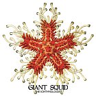 GIANT SQUID - The Ichthyologist