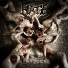 HATE - Anaclasis (A Haunting Gospel Of Malice & Hatred)