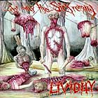 LIVIDITY - …´Til The Only Sick Remain