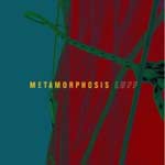 METAMORPHOSIS - Luff
