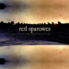 RED SPAROWES - The Fear Is Excruciating, But Therein Lies The Answer