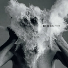 THE AFGHAN WHIGS - Do To The Beast