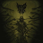 DEFEATED SANITY - Passages Into Deformity