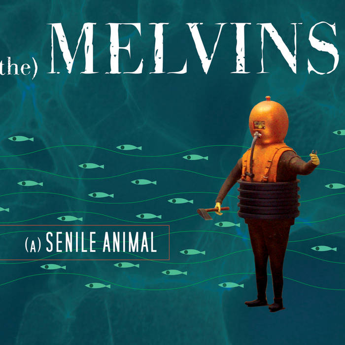 THE MELVINS - (A) Senile Animal