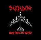 SAYYADINA - Fear Gave Us Wings